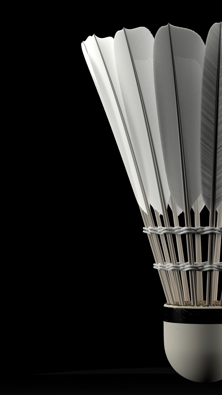 通过科学的 通过科学的